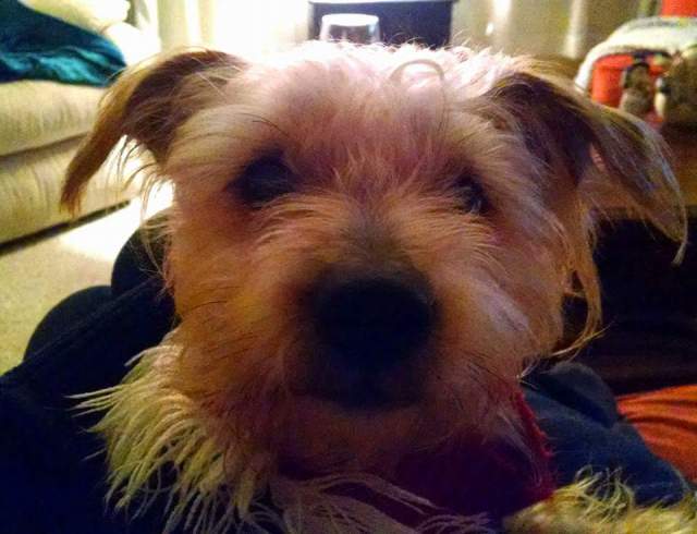 .facebook_1461359939495 (2)