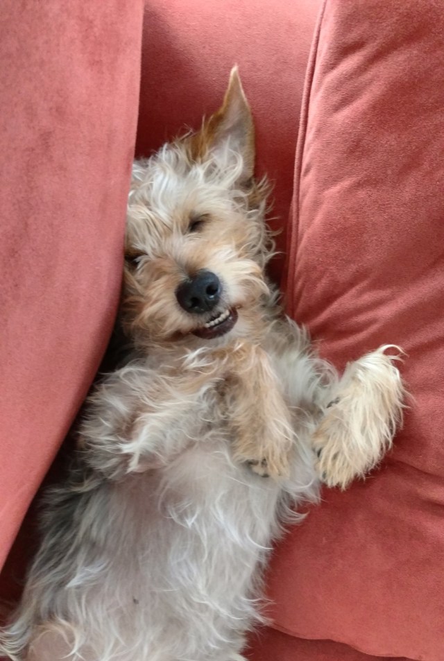 2016-06-23-14-39-33-782