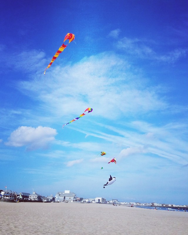 Kites at Hampton
